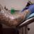 Sleeves