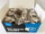 Self Adhesive Elastic Bandage - Snake 50mm