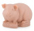 Guinea Pig