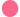 Pepto Pink 1oz