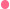 Pepto Pink 1oz